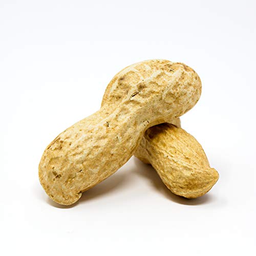 Whole in Shell Raw Peanuts 10lb R735855