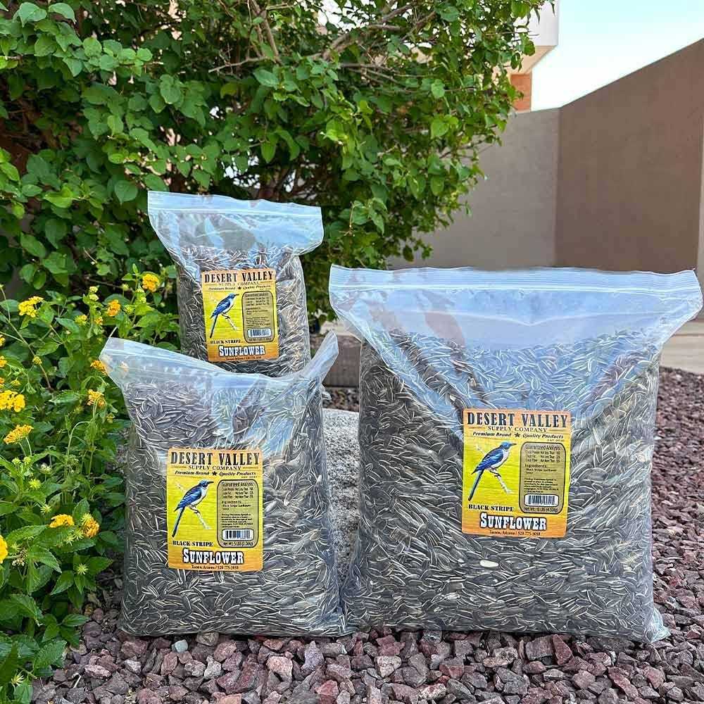 Striped Sunflower Seeds X859030