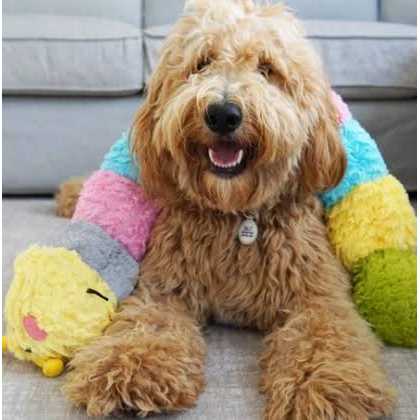 Pastel Caterpillar Pet Supplies R84244