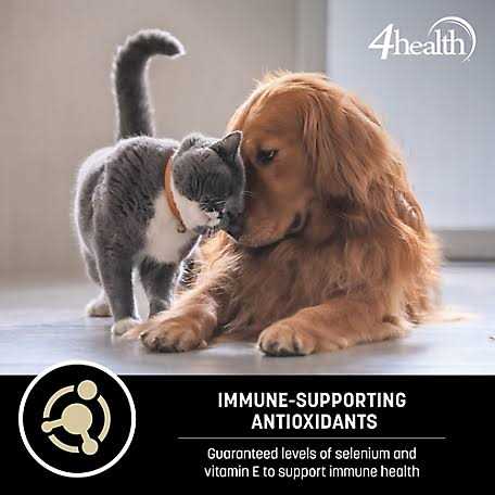 Wholesome Grains Lamb and Rice Dry Dog Food H2541