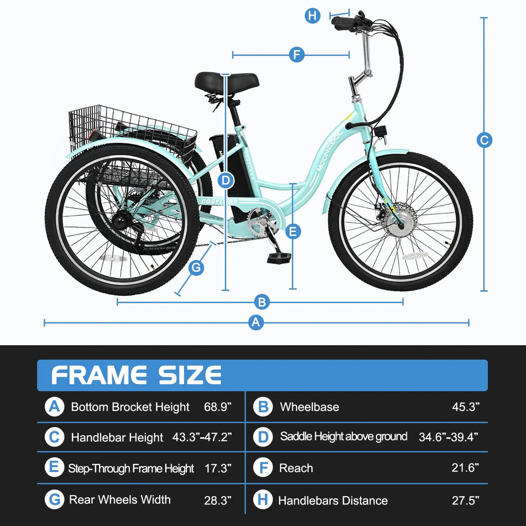 3 Wheel Electric Bike with Removable 36V 10Ah Lithium Battery Q11907