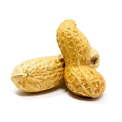 Whole in Shell Raw Peanuts 10lb R735855
