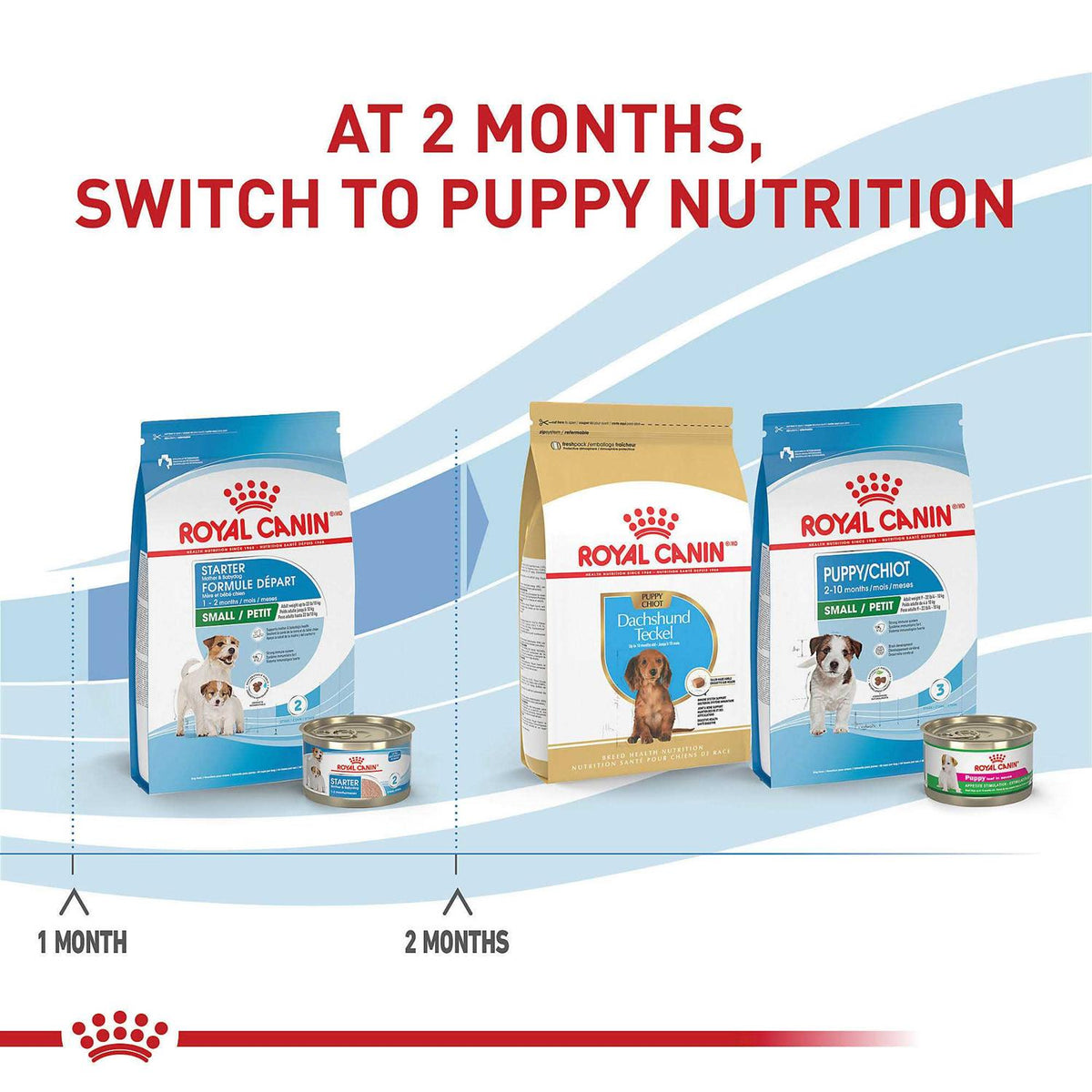 Dry Dog Food P908922