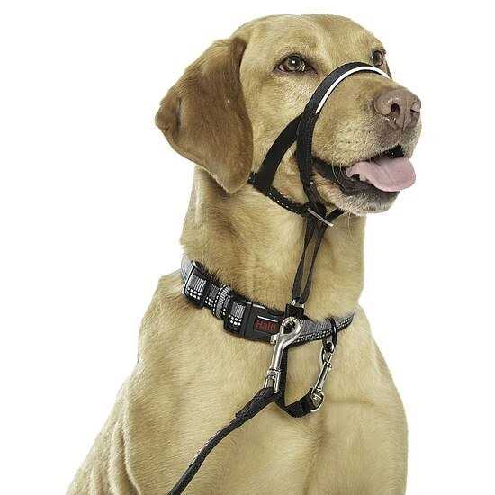 Headcollar H11607