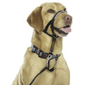 Headcollar H11607