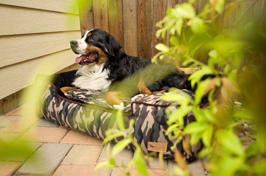 Camouflage Lounge Dog Bed - Green - Large K149